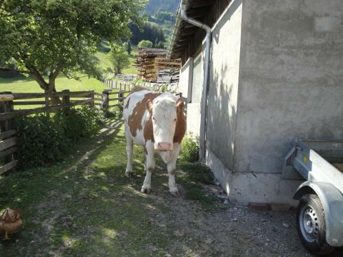 Agroturismo Brandebengut