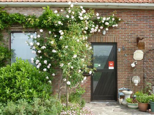 Hostal Guesthouse Kolibriehuys