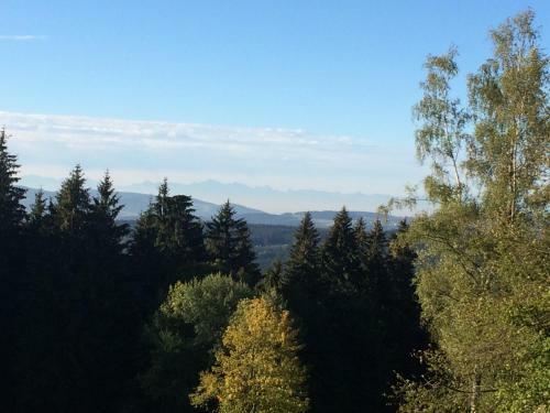 Hostal Gasthof Waldschenke