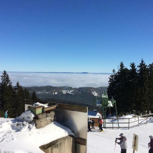 Hostal Gasthof Waldschenke