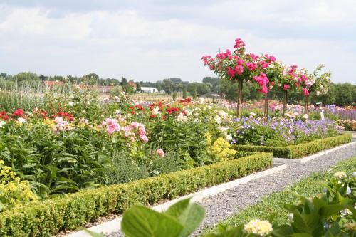 B&B La Vie En Roses