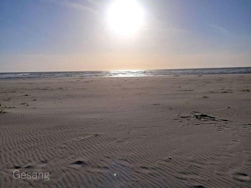 Octopus Lair, Walk To Beach, A/c, Shuffleboard, Dogsok