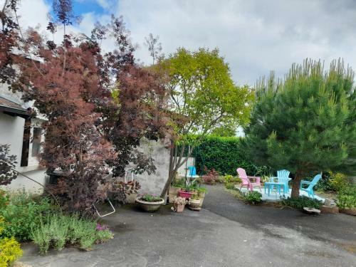 Maison Rez De Jardin F1bis