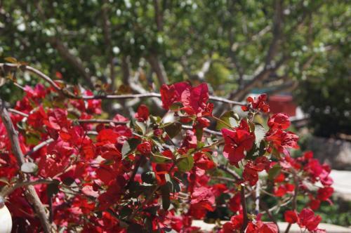 Hostal Room In Bb - Santa Giulia - Charming Bed And Breakfast With Breakfast Included 4