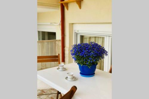 Cosy 1-bdrm Nikiti Apartment Short Walk To Beach