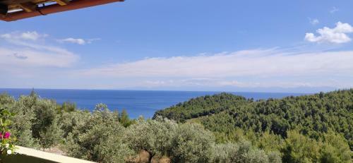 Elia House 2 Astoning View Among The Olive Trees