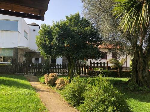 Agroturismo The Olive Tree Country Home