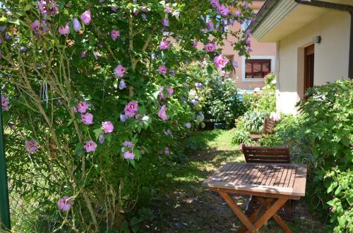 Hotel Arenas De Cabrales- Apartamentos