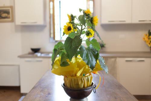 Bed & Breakfast Antica Macina Toscana