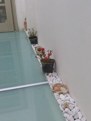 Apartamento Appartamento A 100mt Mare