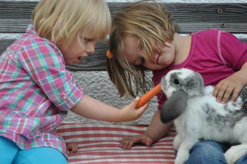 Agroturismo N�glhof