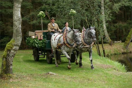 Hostal Pension & Reitstall Inghofer