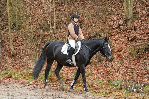 Hostal Pension & Reitstall Inghofer
