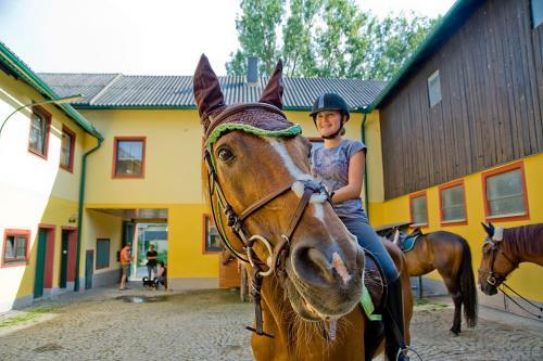 Hostal Pension & Reitstall Inghofer
