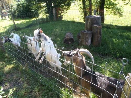 Agroturismo Russbachbauer