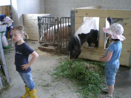 Agroturismo Russbachbauer