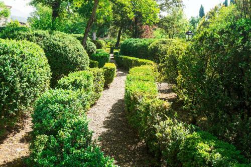 Apartamento Il Camino