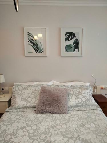 Apartamento El Rinc�n De Luz Scq