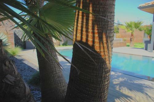 Bed & Breakfast Les Cocons Du Bassin - Cocon "spa&design"