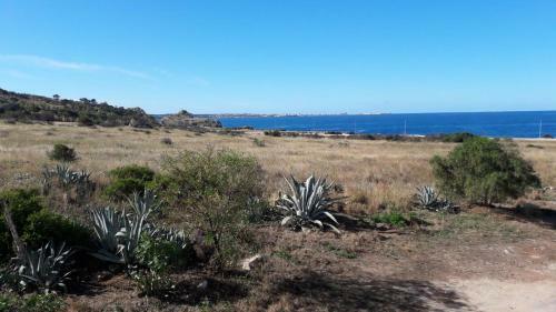 Apartamento Appartamento Fronte Del Mare