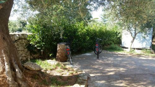 Trullo Oasi Maria