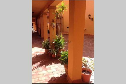 Apartamento D�plex Muy Bien Situado Y Tranquilo