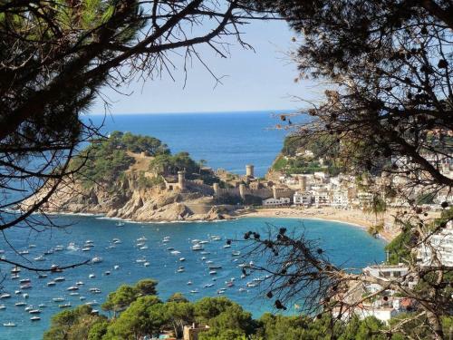 Lets Holidays Sea Views Apartment In Sa Gabarra