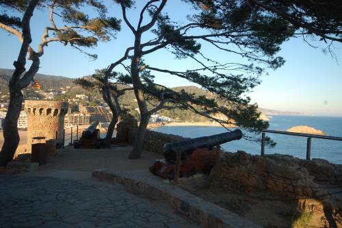Lets Holidays Sea Views Apartment In Sa Gabarra