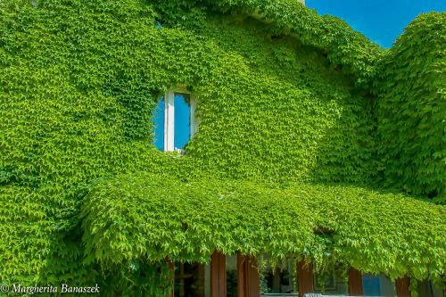 Bed & Breakfast Villa Floridia