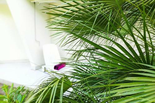 Apartamento Suberbe T2 Avec Piscine Et Jardin De 150m2