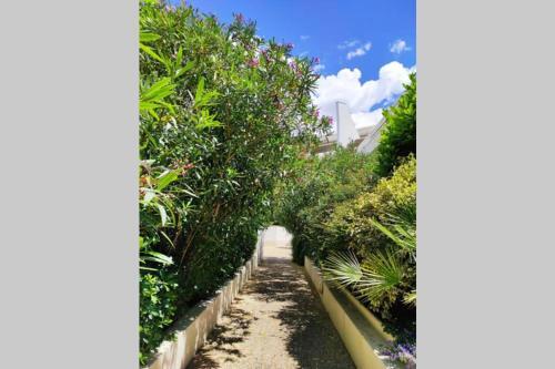 Apartamento Suberbe T2 Avec Piscine Et Jardin De 150m2