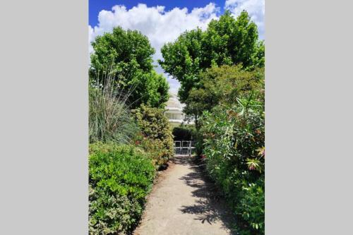 Apartamento Suberbe T2 Avec Piscine Et Jardin De 150m2