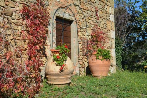 Agroturismo Agriturismo Villa Di Scopicci