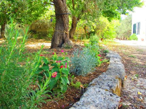 Lardari Country House