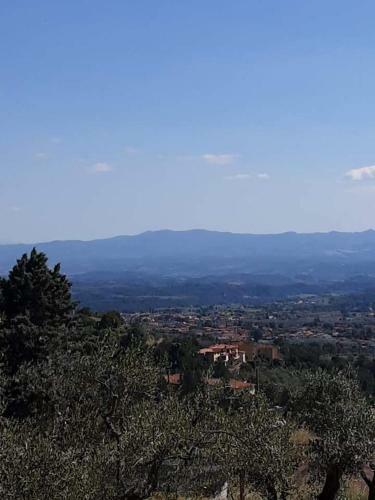 Agroturismo Agrifarm La Corte
