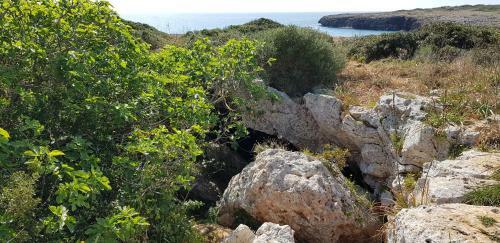 83 Ronda Del Mat�