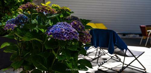 Apartamento Villa Les Dahlias