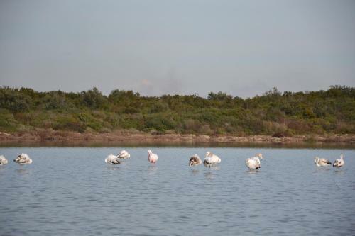 Villa Flo' B&B (san Pietro In Bevagna)
