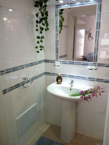 Apartamento Casa Michele