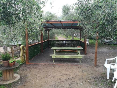 Agricampeggio U Beriun