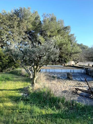 Hostal Chambre D'hotes Mas P�kin