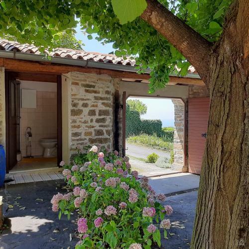 Apartamento Violet's Place