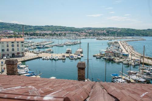 Apartamento 10 Veliki Trg