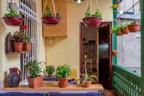 Apartamento Floral Beauty