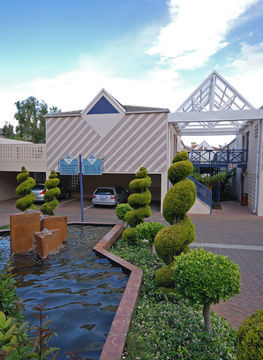 Hotel Courtyard Sandton