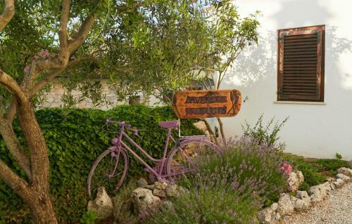 Lavanda Apartments