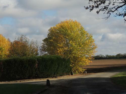 Bed & Breakfast Chambres D'h�tes La Colini�re