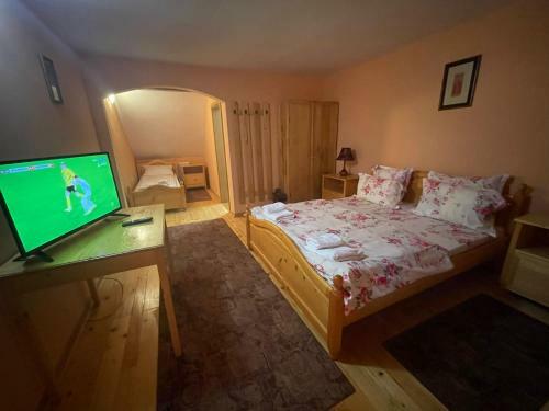 Hostal Pensiunea Ducu