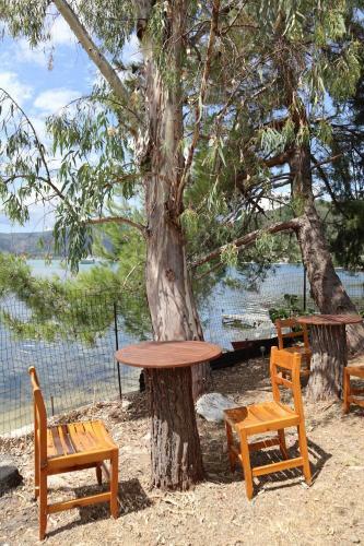 A Beautiful Place To Relax
