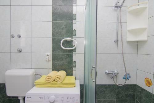 Apartmani Bistri?i?
